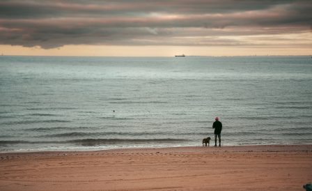 Австралия признала Спутник и дает вознаграждение держателям виз