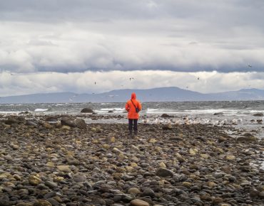 Пособия и льготы для иммигрантов в Канаде