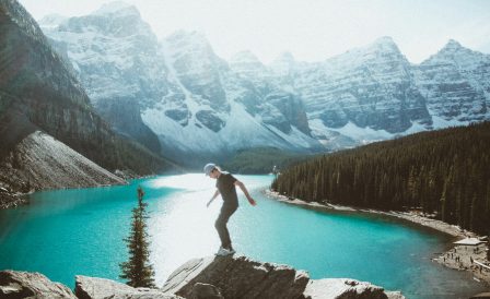 Образование в университетах и колледжах провинции Альберта