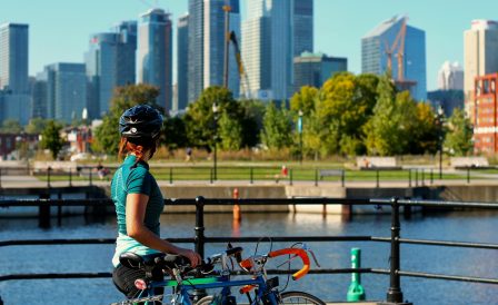 Образование в университетах и колледжах провинции Квебек