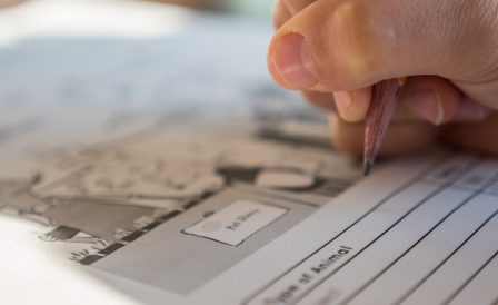 Скидка 15% на курсы английского языка в школе ATC