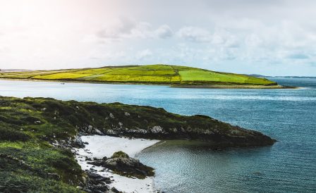 3 недели проживания бесплатно от IH Galway