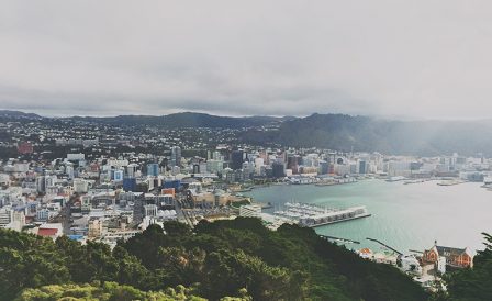 Дипломные программы за NZ$ 8,550 от International College of Auckland