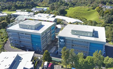 Скидки на популярные программы от WITT 2020 год