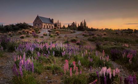 Летний лагерь с изучением английского в Kiwi English Academy