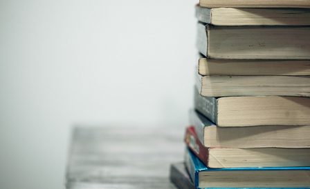 NZCEL онлайн – поступление на дипломные программы без IELTS