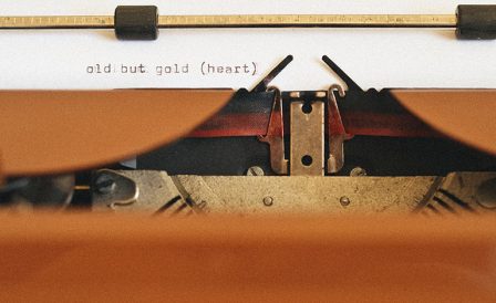 Языковая школа в солнечном Нельсоне — Nelson English Centre