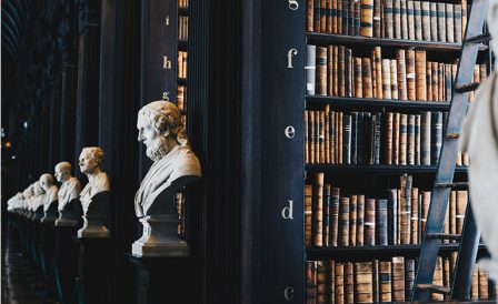 Обучение и иммиграция в Новую Зеландию для юристов