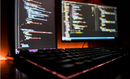 Обучение и иммиграция в Новую Зеландию для IT специалистов