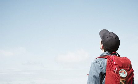 Система образования Новой Зеландии