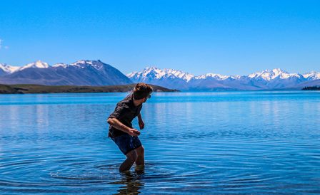 Новые цены WelTec на 2020 год