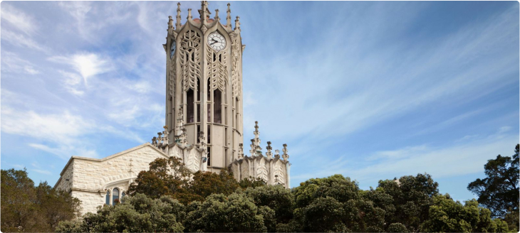 Обучение в Новой Зеландии