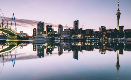 Супер предложение от Tasman International Academies