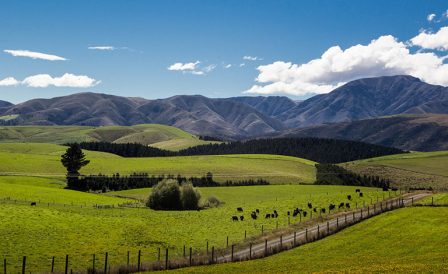 Жизнь в Новой Зеландии: плюсы и минусы