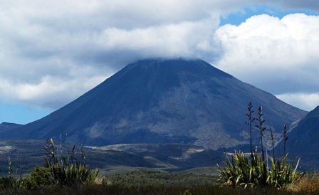 Как подготовиться к переезду в Новую Зеландию до открытия границ