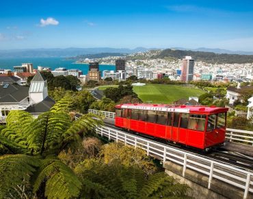 Топ 10 дел, чем заняться в Веллингтоне