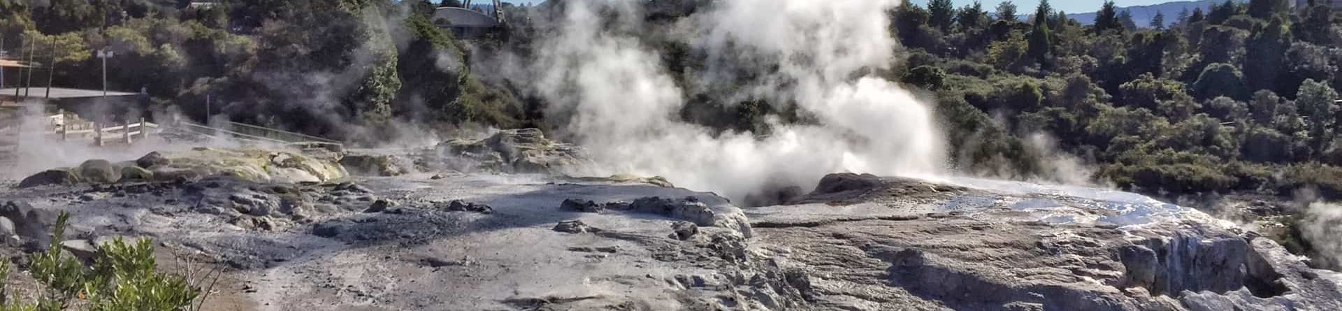 Rotorua: инструкция по применению для новых переселенцев