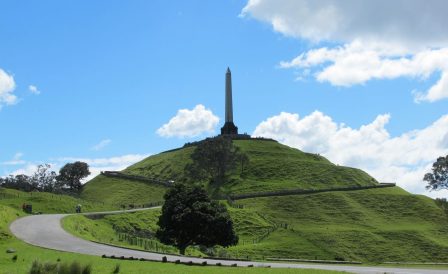 Пикник Kiwi Education