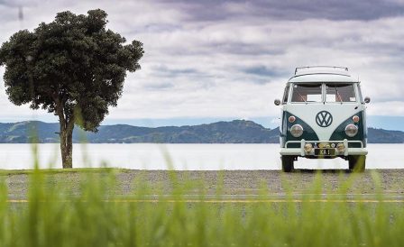 Все менеджеры Kiwi Education в Новой Зеландии