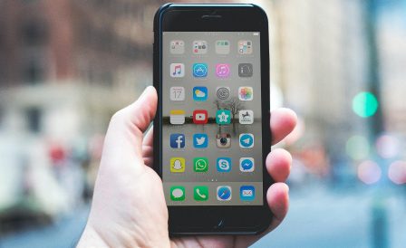 Kiwi Education в социальных сетях