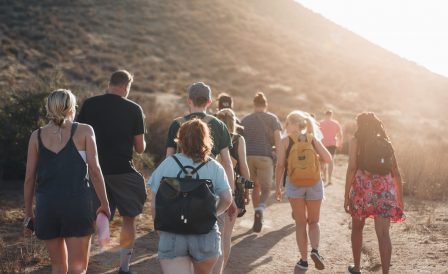 Население Новой Зеландии