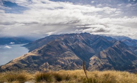Новая Зеландия признана лучшим местом для выживания в условиях глобального общественного коллапса