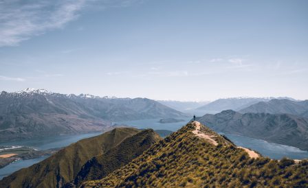 INZ разрешила Google перевести команду инженеров