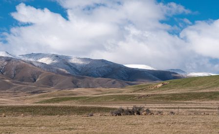 Стипендии от Lincoln University