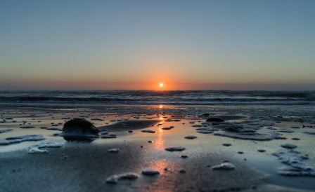 Спецпредложения 2022 от WITT Taranaki