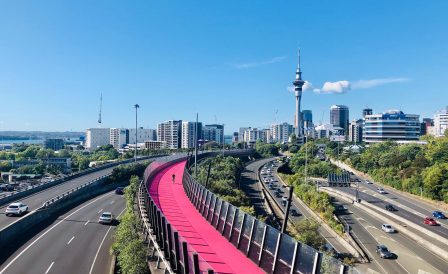 Спецпредложения на изучение английского в NZLC