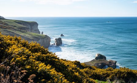 Тур по Новой Зеландии