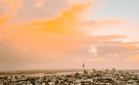 Адаптационная программа для детей и взрослых в Окленде