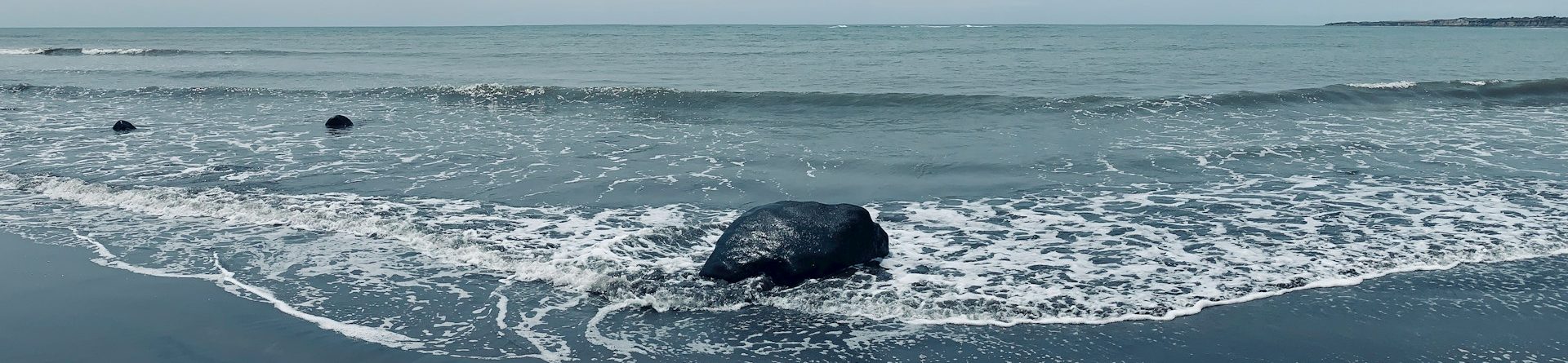 Отзыв Степана