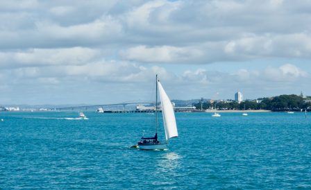 Иммиграционный тур по Новой Зеландии