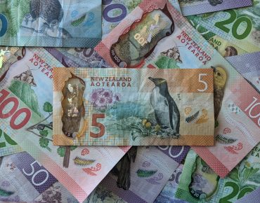 Как сэкономить при переезде в Новую Зеландию