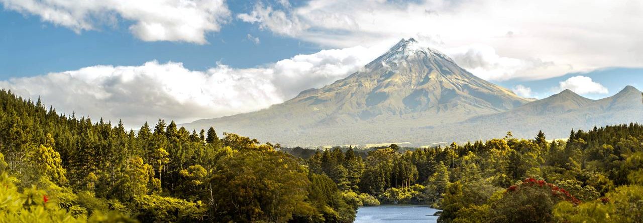 Отзыв Алексея