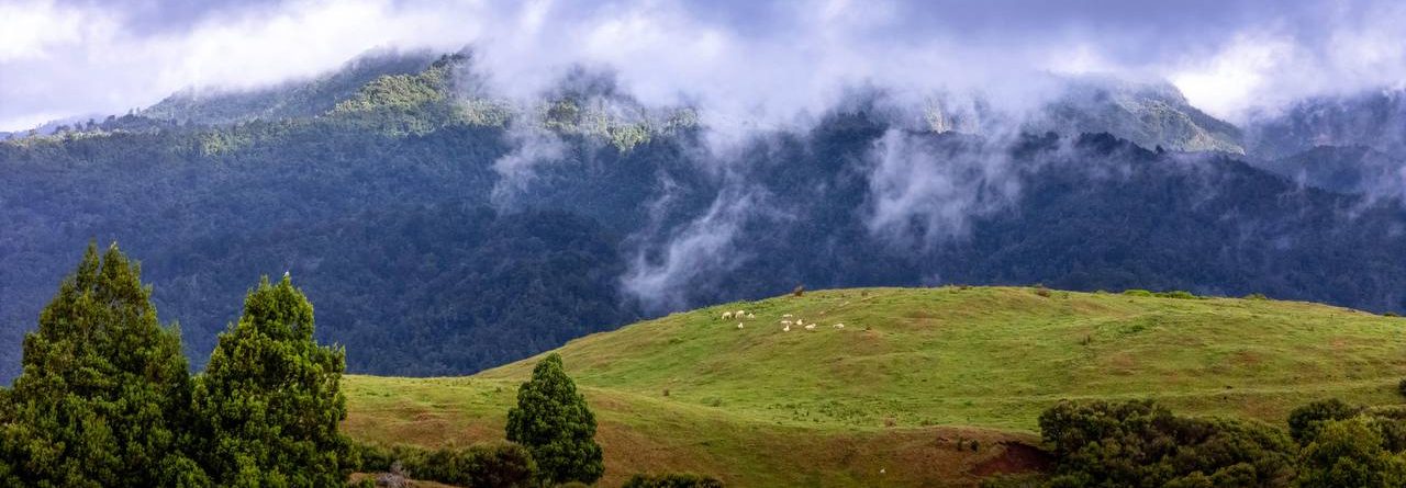 Отзыв Александры