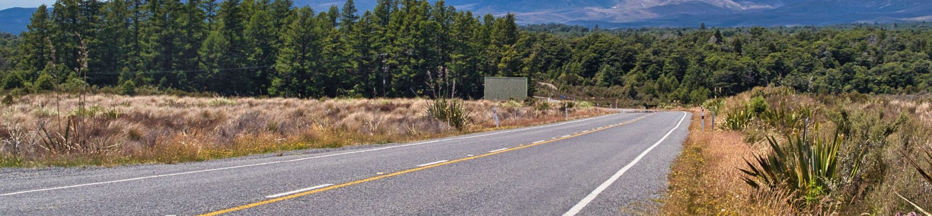 Главное — идти: как Пётр переехал в Новую Зеландию