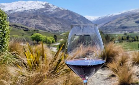 Обучение и иммиграция в Новую Зеландию для виноделов