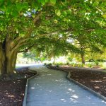 Отзыв Артёма