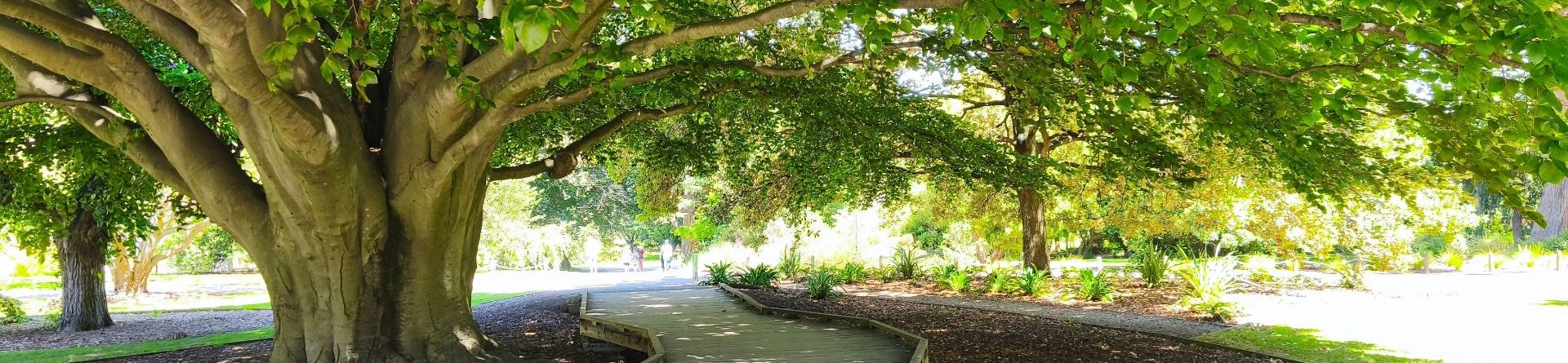 Отзыв Артёма