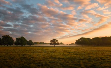 География и климат Великобритании