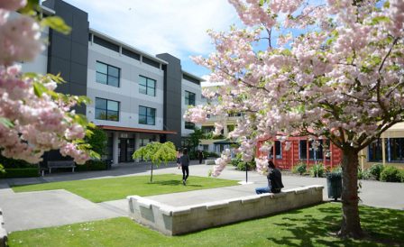 Магистратура в EIT со стипендией NZ$ 2000