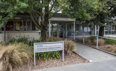 Pathway программа от CCEL