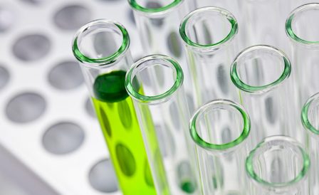 Бакалавриат в сфере науки и технологий от Wintec