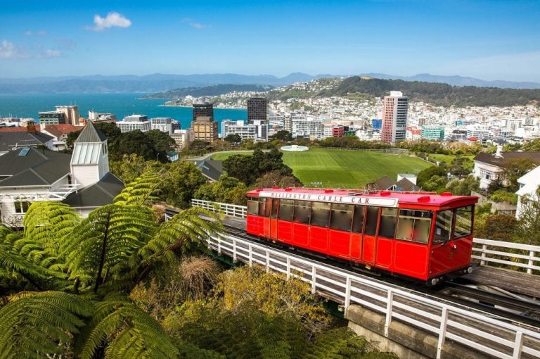 Встреча с менеджерами Kiwi Education в Алматы