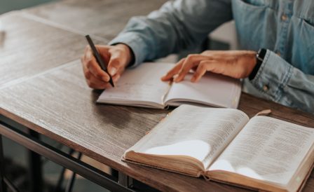 Скидки на языковые курсы в Новой Зеландии