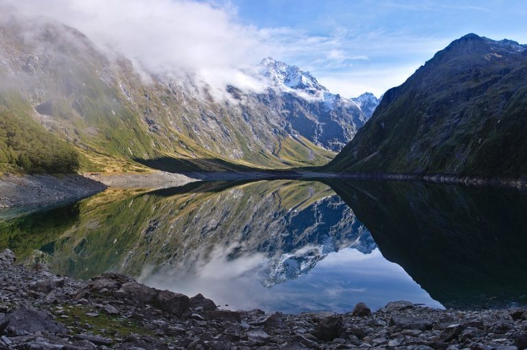 Как переехать в Новую Зеландию, обучаясь на совместных магистерских программах, при этом сэкономить до 40%.
