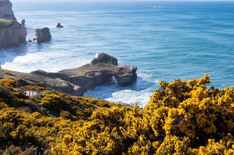 Закрытый вебинар «Мечтаешь переехать в Новую Зеландию? Действуй!»