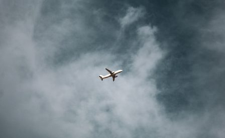 Прямой эфир со студентом: программа двойного диплома и переезд в Новую Зеландию из России